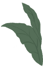 绿化手绘叶子植物装饰