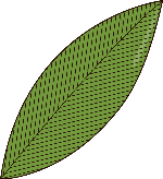 粽叶装饰装饰元素手绘绿色