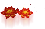 红花花朵装饰手绘