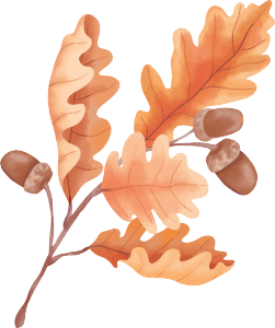 秋天手绘水彩植物叶子