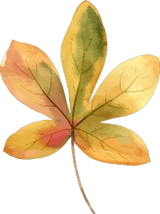 秋季秋植物树叶水彩
