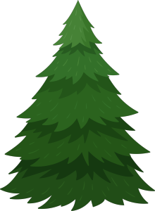 杉树插画自然圣诞树松树
