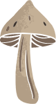 秋季秋蘑菇秋天插画