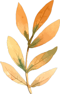 水彩手绘秋季秋植物