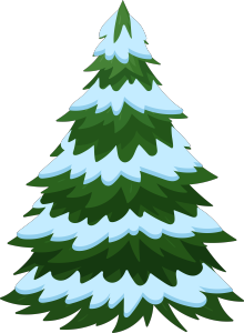 圣诞节松树树冬天冬季