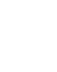 节日手绘素描杉树冬季