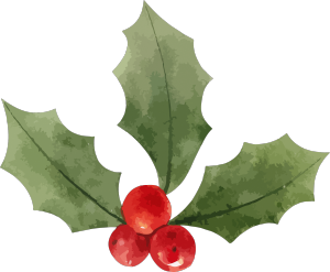 圣诞节欧洲冬青插画水彩植物