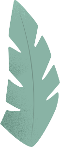 叶子植物插画斋月开斋节