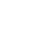 圣诞树圣诞节松树手绘插画