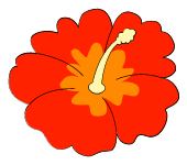 花插画