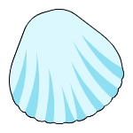 贝壳插画