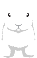 兔子兔小白兔动物可爱