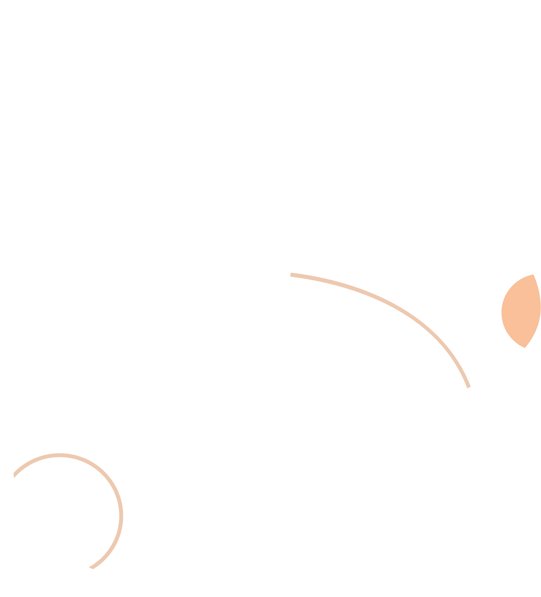 兔子玉兔小白兔动物可爱