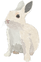 春天水彩兔子动物复活节