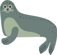 海豹海洋animal动物sea creature