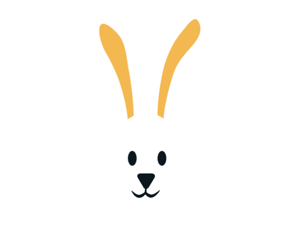 动物兔子兔小兔子兔耳朵