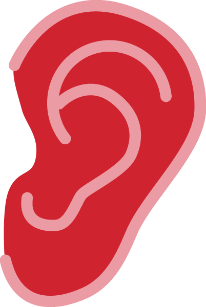 耳朵耳器官身体部位
