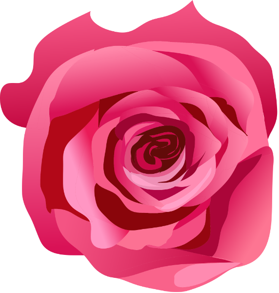 花玫瑰红玫瑰植物爱情
