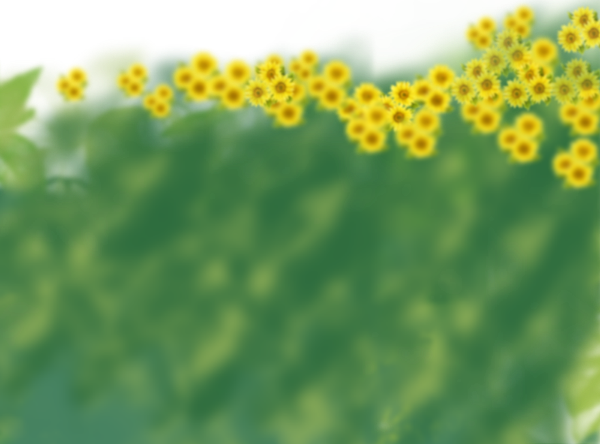 背景图向日葵花植物背景