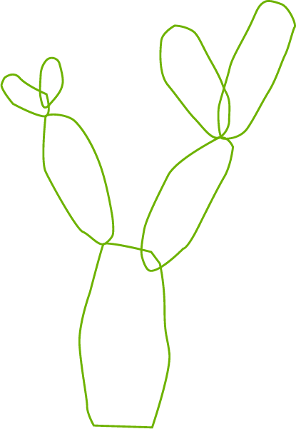 仙人掌植物花绿植手绘