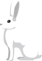 兔兔子小白兔动物可爱