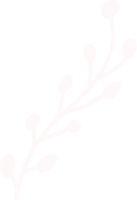 植物叶子手绘插画