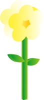 花朵花3d立体植物