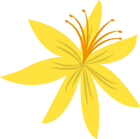 花黄花花朵装饰元素黄色