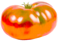 蔬菜西红柿生鲜食物创意