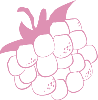 葡萄水果手绘食物食品
