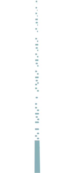 植物树树杈子树干雪树