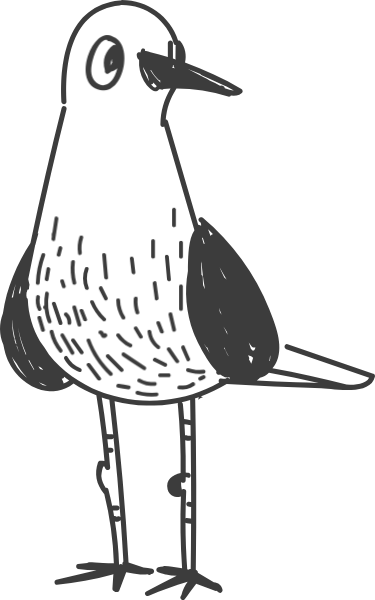 动物麻雀写实飞禽翅膀