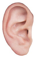 五官耳朵听装饰元素贴纸
