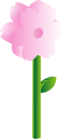 3d立体花朵花植物