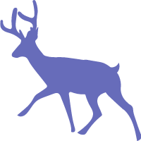 鹿麋鹿雄鹿动物哺乳动物