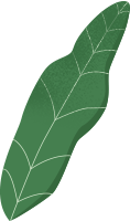 叶绿植装饰元素植物树叶