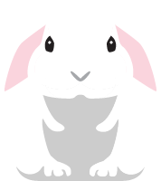 兔兔子小白兔动物可爱