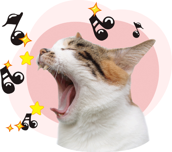 猫咪猫唱歌音符符号