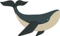 鲸蓝鲸海洋animal动物