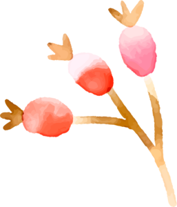 果子植物手绘插画水彩