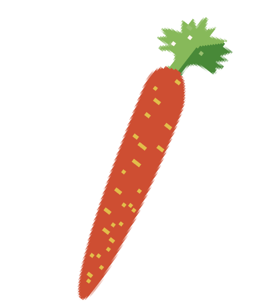胡萝卜萝卜蔬菜维生素果蔬