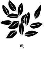 古希腊神话欧洲植物花束