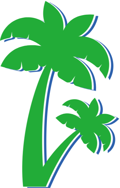 海滩椰子椰树树树木