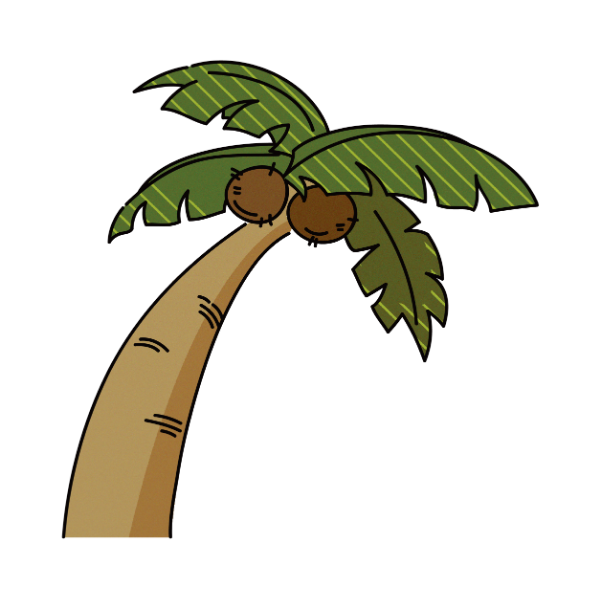 椰树椰子树树树木椰子