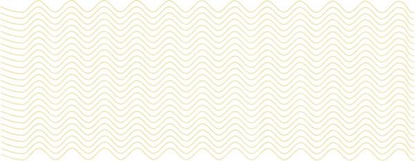 波浪曲线线条线装饰元素