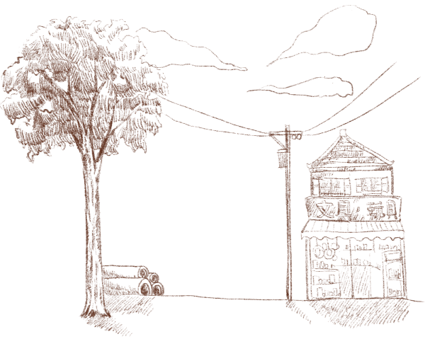 房屋大树植物电线杆电线