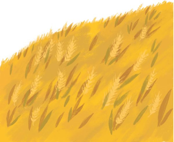 麦田田坡麦穗庄稼贴纸素材