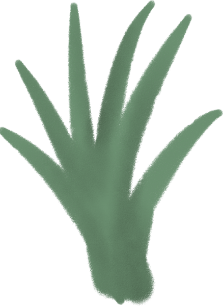 手绘装饰元素绿草植物绿植