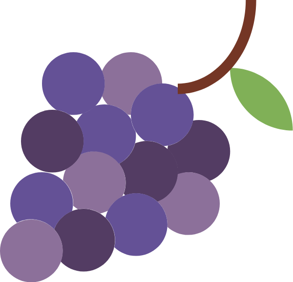 葡萄水果扁平食物食品