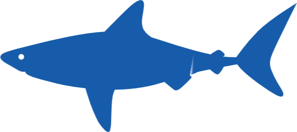 鲨鱼海洋生物猛兽动物可爱